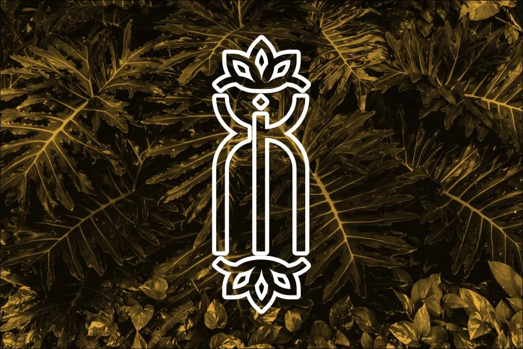 Kanchani - Identidad Visual — imagen 1